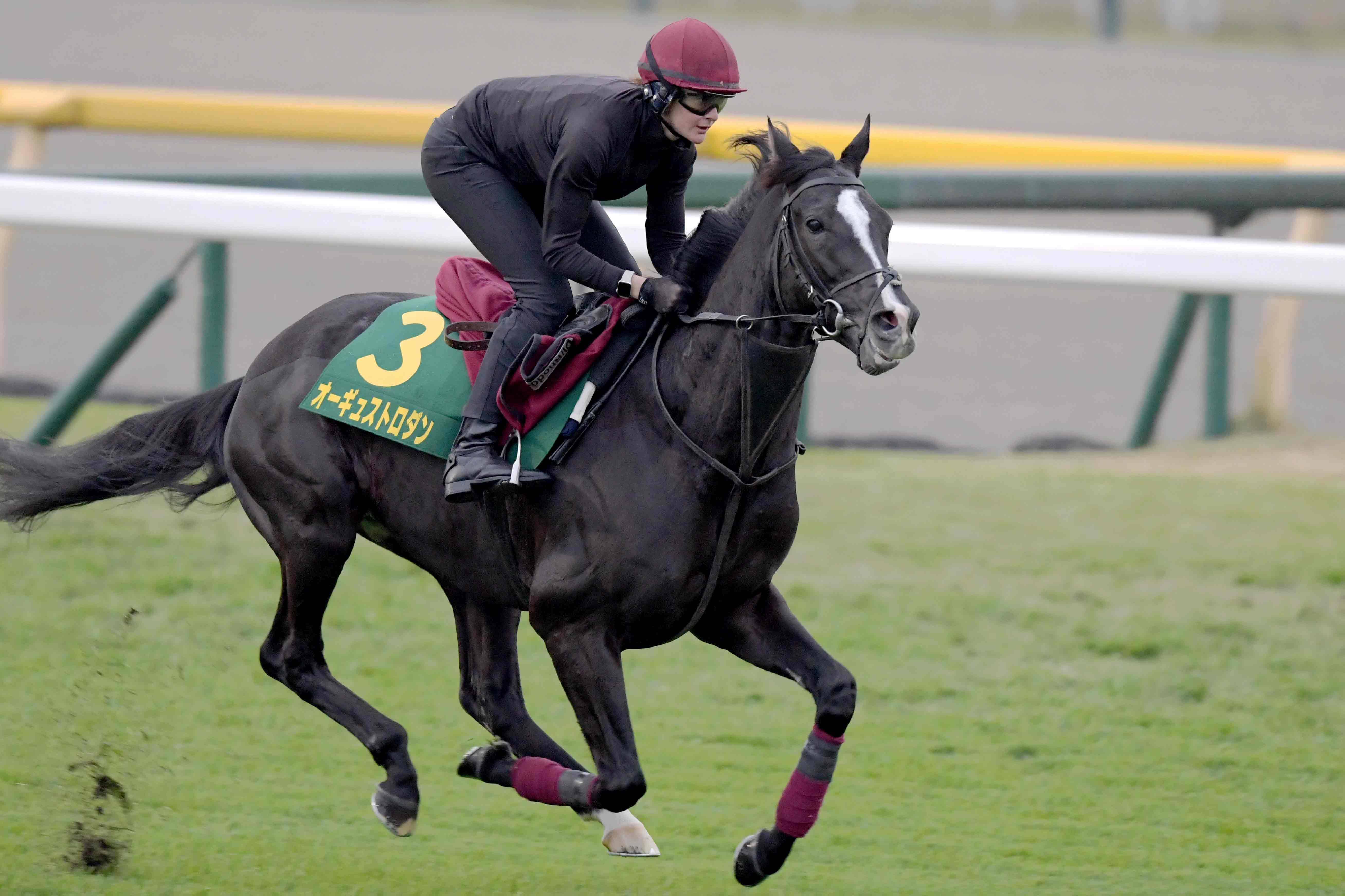 船橋競馬 千葉県調教師会公式ブログ