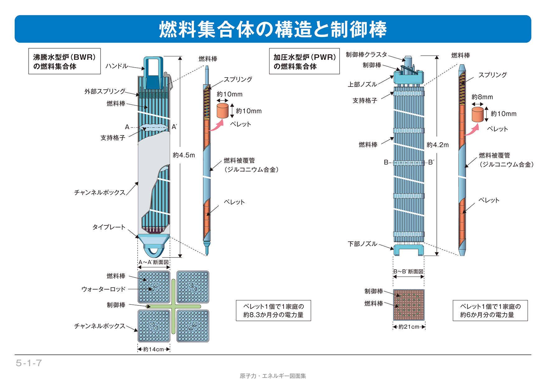 集合体恐怖症 されど、やめられない。かっぱの庵