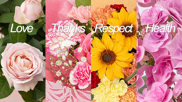 母の日のカーネーション：イラスト無料