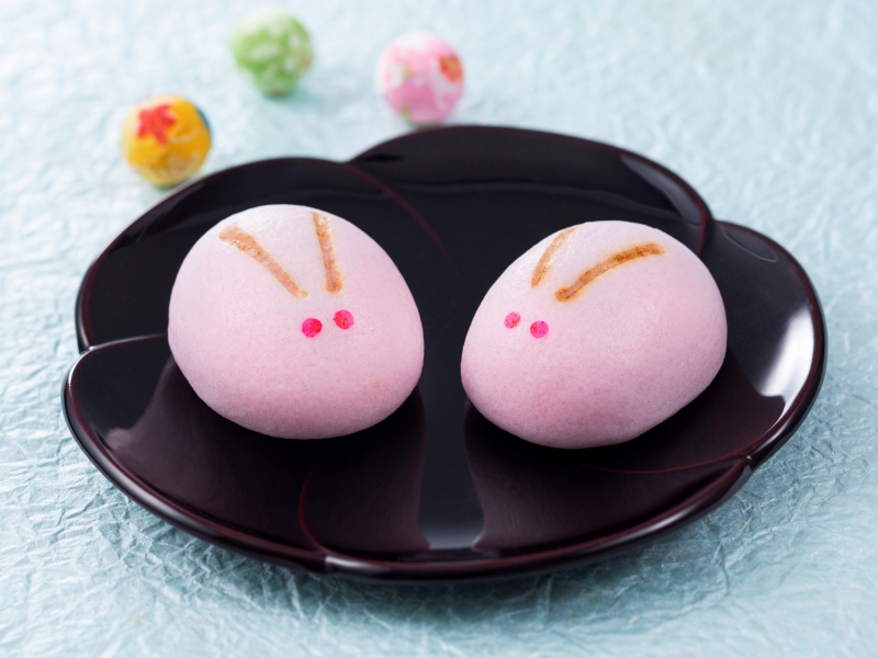 日本橋うさぎや どら焼きではない美人系・清楚系の和菓子を発見 - かわいいを探せ