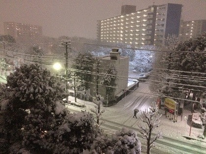 東京に11月の大雪☆多摩市