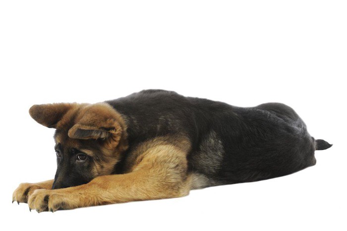 男女別 拗ねる大人の心理や行動とは？彼氏彼女が拗ねた時の対処法も解説Smartlog