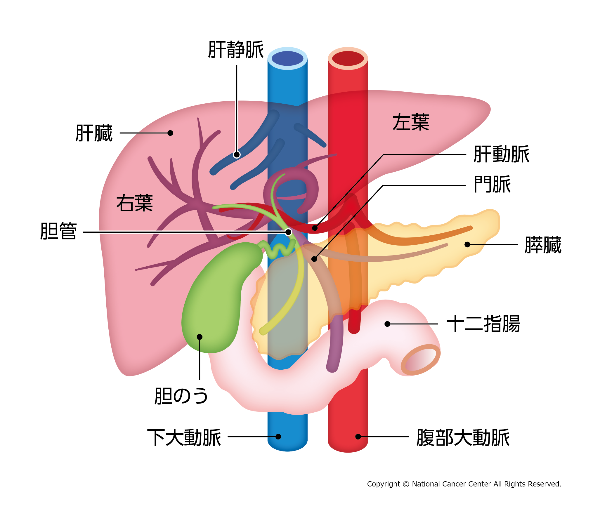 【完全版】女性が最も感じやすい性感帯の刺激方法３選