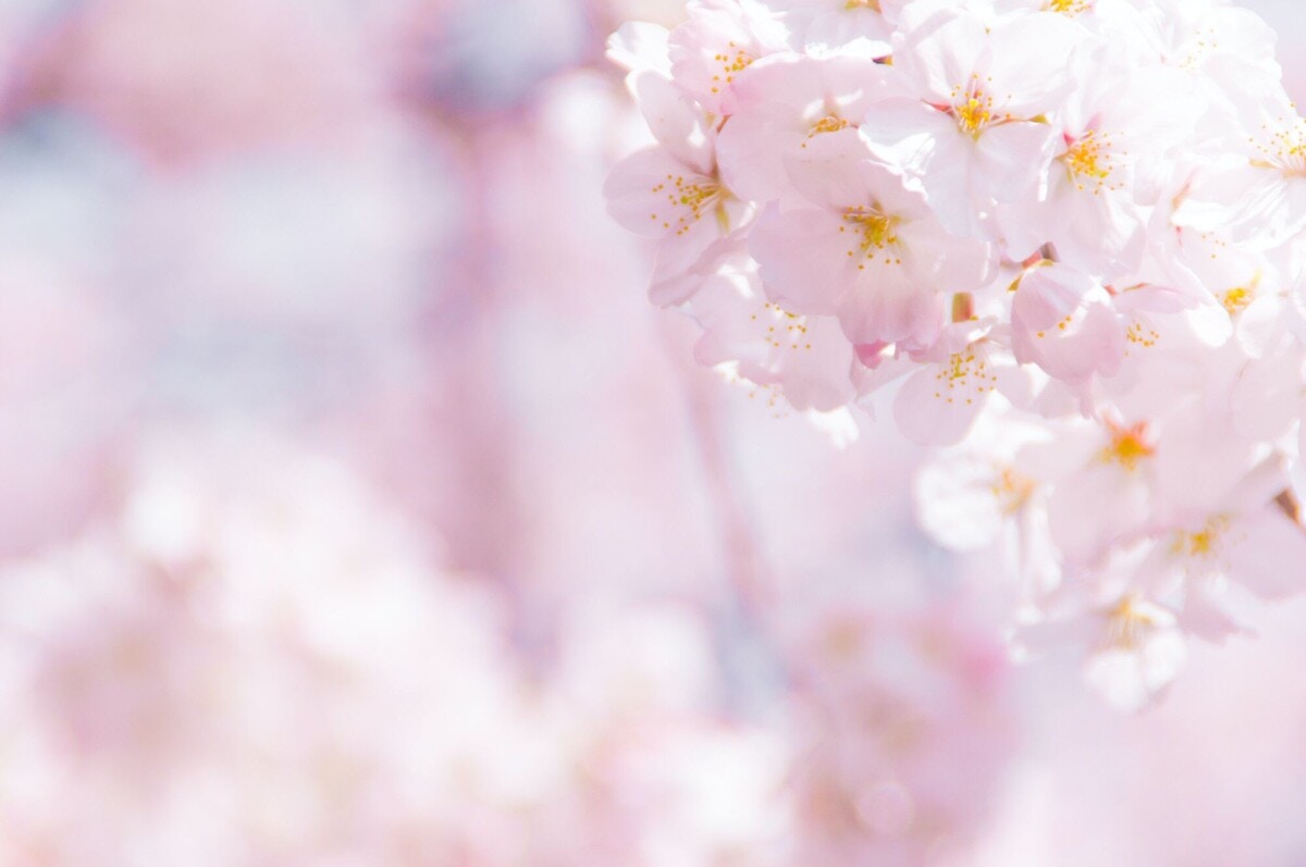 3文字の女の子の名前70選！可愛い・珍しい・古風な名前をそれぞれ紹介トモニテ