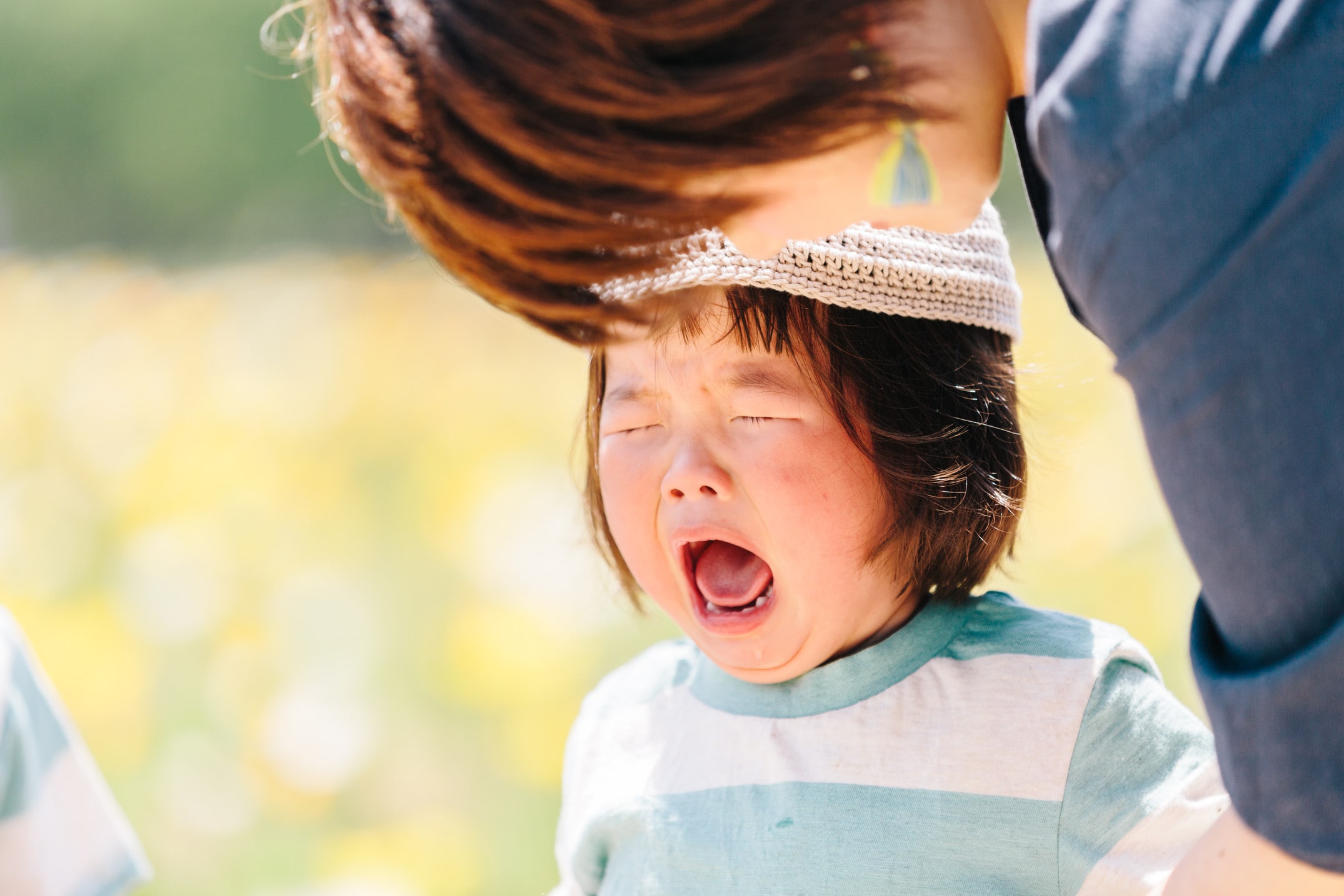 物を投げる子どものしつけ 「手渡しの仕方」はどうやって伝える？うちのこざんまい 第12話 ウーマンエキサイト