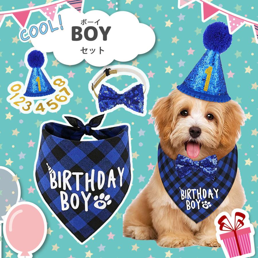 愛犬に最高の誕生日プレゼントを贈ろう！おすすめのグッズや手作りケーキなど15選INUNAVI いぬなび
