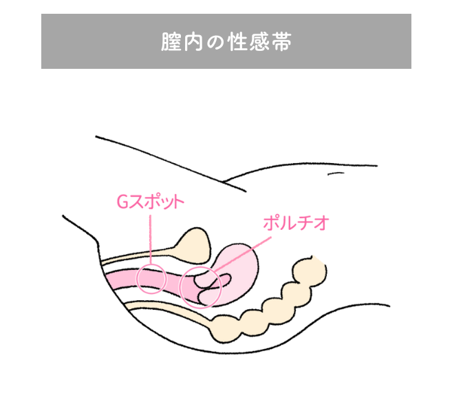 Gスポット開発とは？場所と位置の見つけ方 - 夜の保健室