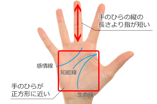 手相占い 手の平で気になる鎖状の線が意味するものは？ 占い師が教えますOggi.jp