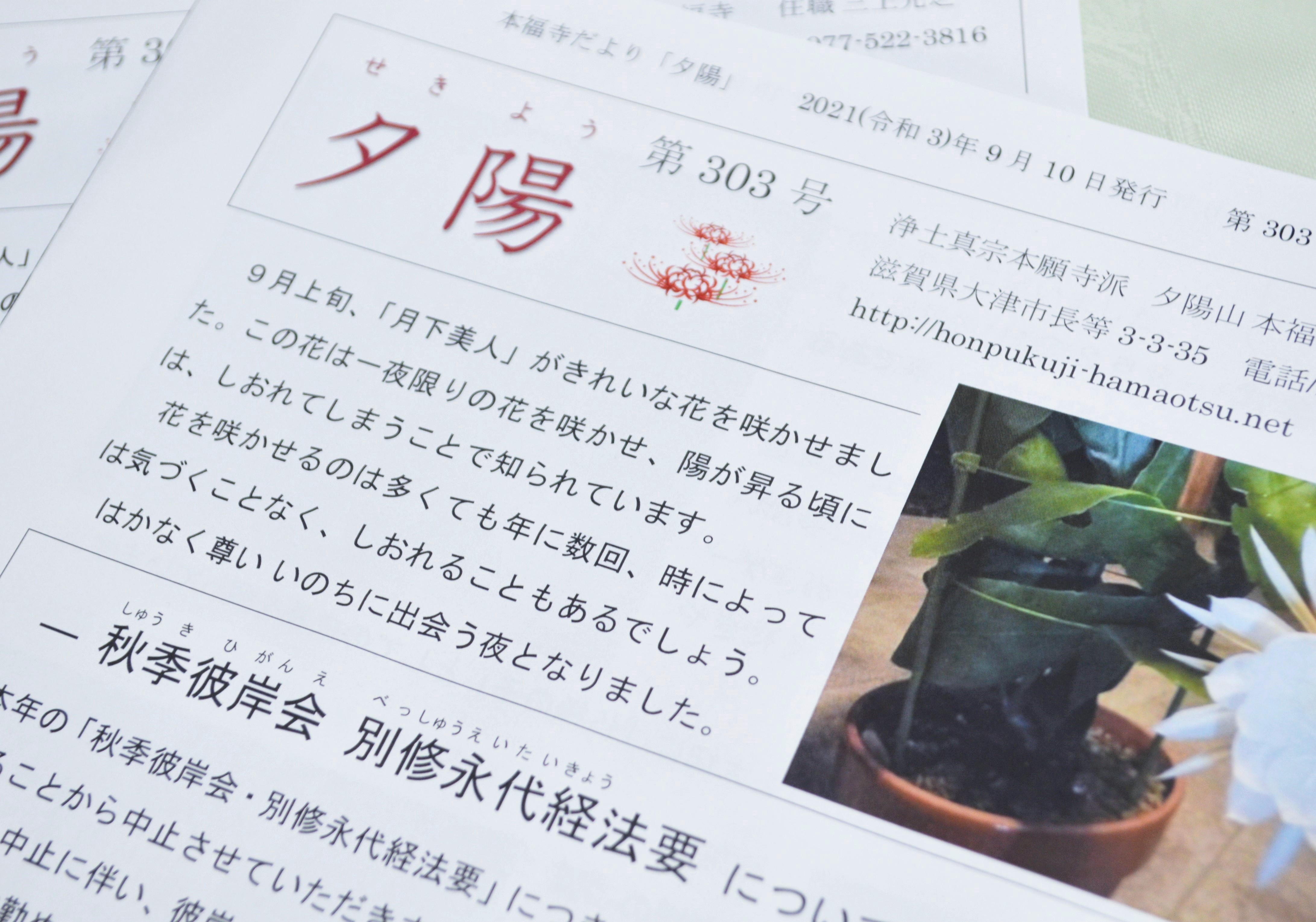 ぷろもん على X: 