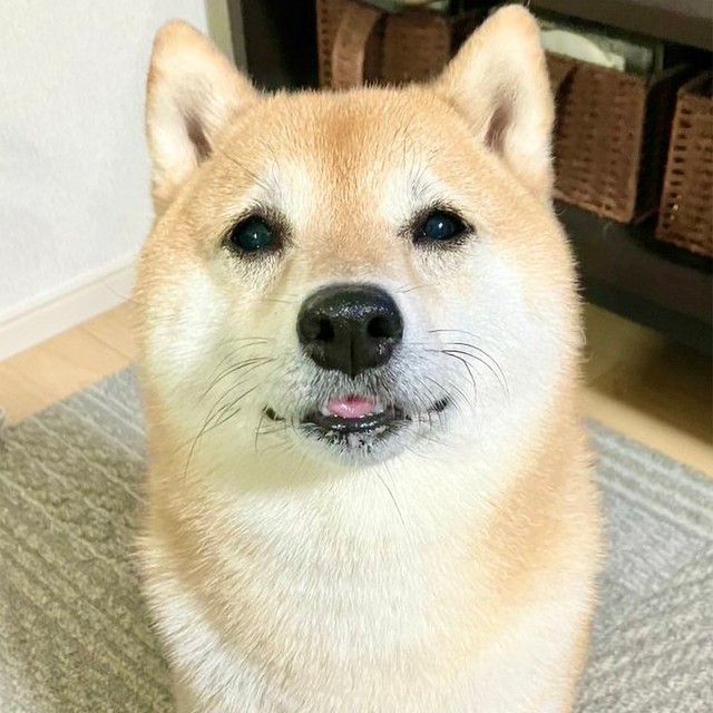 50ページ幸せそう な 顔の写真 - 無料の高画質写真をダウンロードFreepik