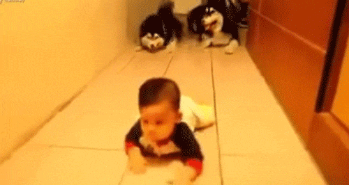 天使キッズ ほふく前進 ？ ハイハイの癖が強い赤ちゃんに90万再生「自衛隊の第三ほふく」「スナイパーの目」 2ページ目eltha エルザ