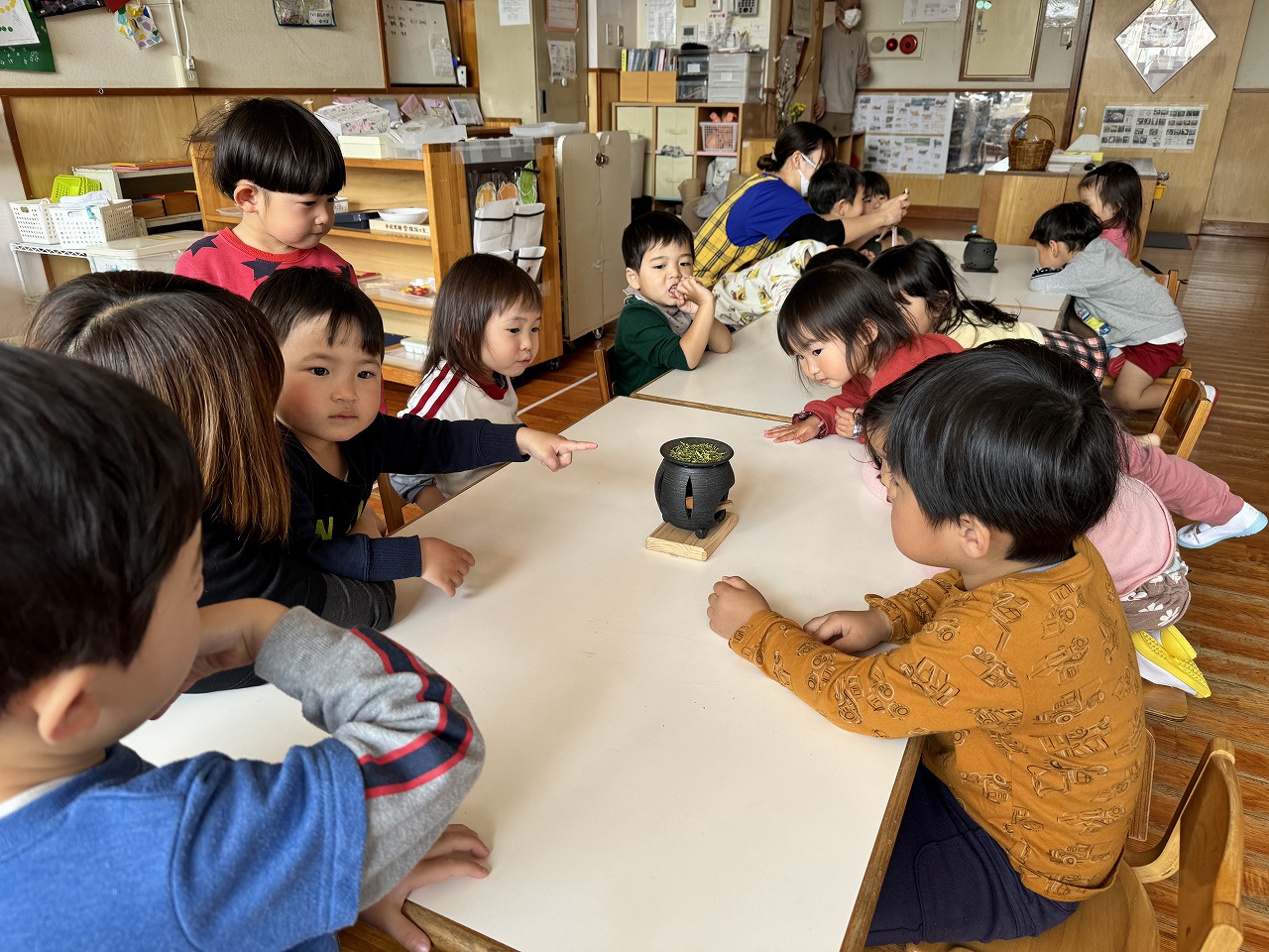 野外体験香り豊かな新茶の季節♪本場静岡で『茶摘み』体験＆製茶工場見学ツアーそらまめキッズアドベンチャ