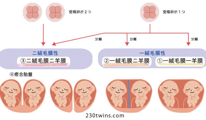 保育 ひな祭り製作一覧 お雛様作品を年少・年中・年長ごとに作り方を紹介あつまれ！せんせいのこども園