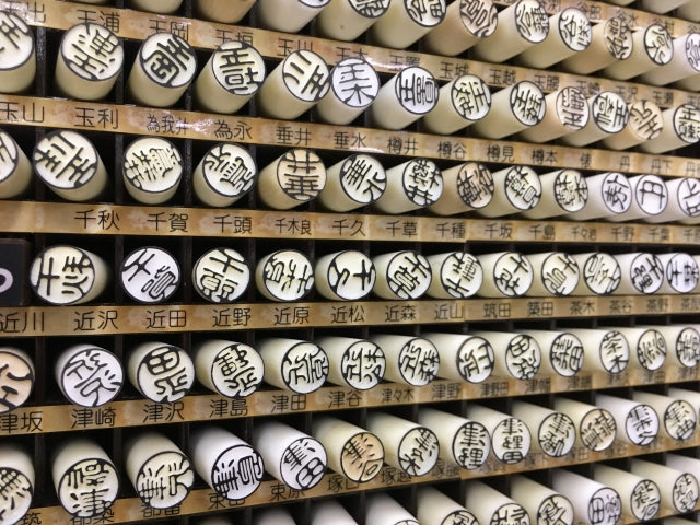 スミレ 菫スミレ科 スミレ属 野田市ホームページ