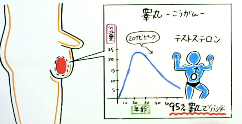 36分間のペニスマッサージとオーガズム拒否