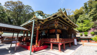 どうする家康」瀬名との再会叶わず 散った“椿姫”“女城主”お田鶴 ネット涙「紀行で涙腺にトドメ」 - スポニチ Sponichi Annex 芸能