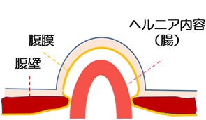 循環器内科 | 各部門のご案内 | 大和市立病院