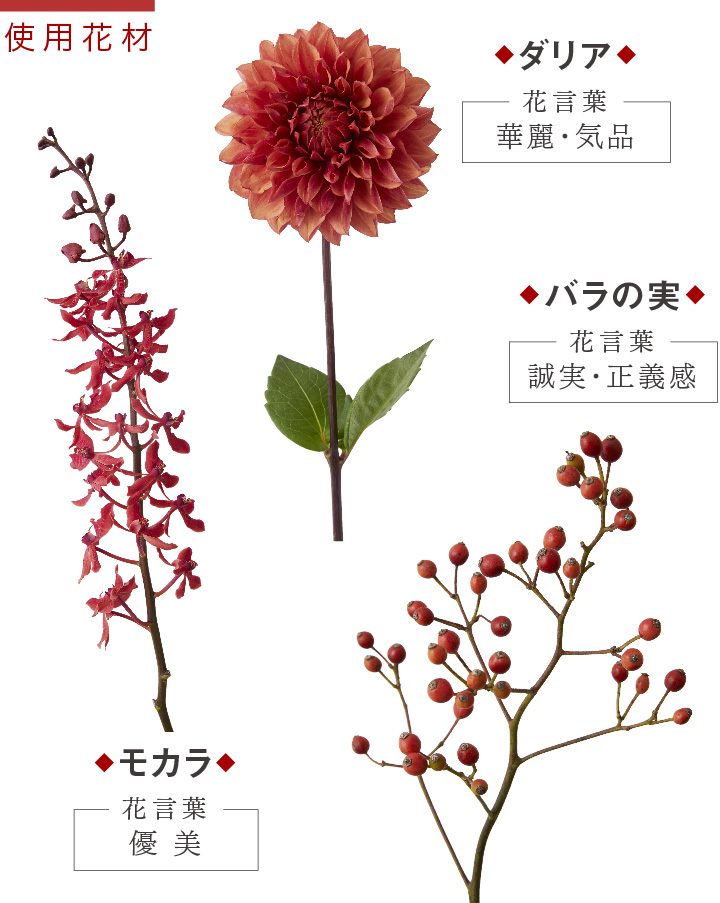 お父さん・お母さん「おめでとう♪」 結婚記念日に贈りたい誕生花花や花束の宅配・フラワーギフト通販なら花キューピット。贈り物・プレゼントで花を贈ろう