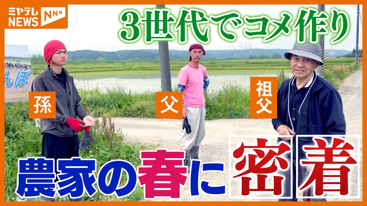 初めての一人暮らし 家族総出で手伝ってくれた引越しの思い出引越し見積もりを安く！引越しの準備・費用・手順が丸わかり