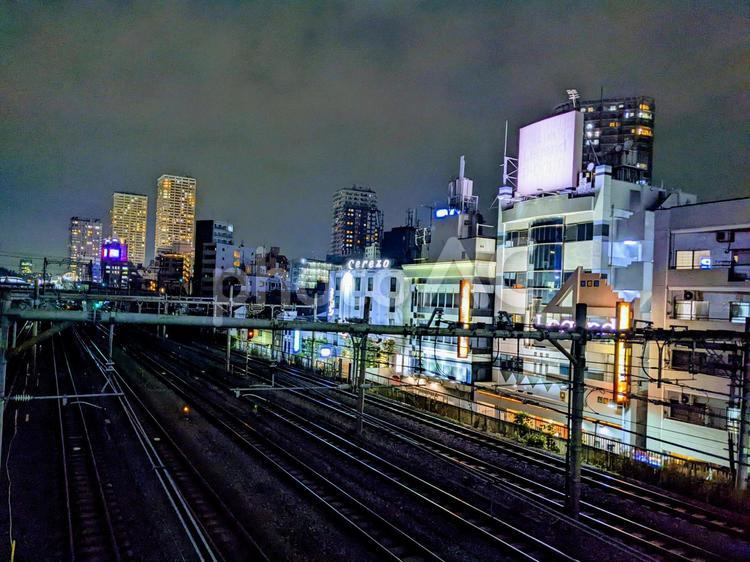 カーネーション ＠ 東京キネマ倶楽部 (東京都) (2024.06.14)