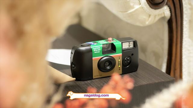 写ルンです☆結婚式☆カメラ☆タグ☆ペーパーアイテム☆ウェディング♡11～20枚