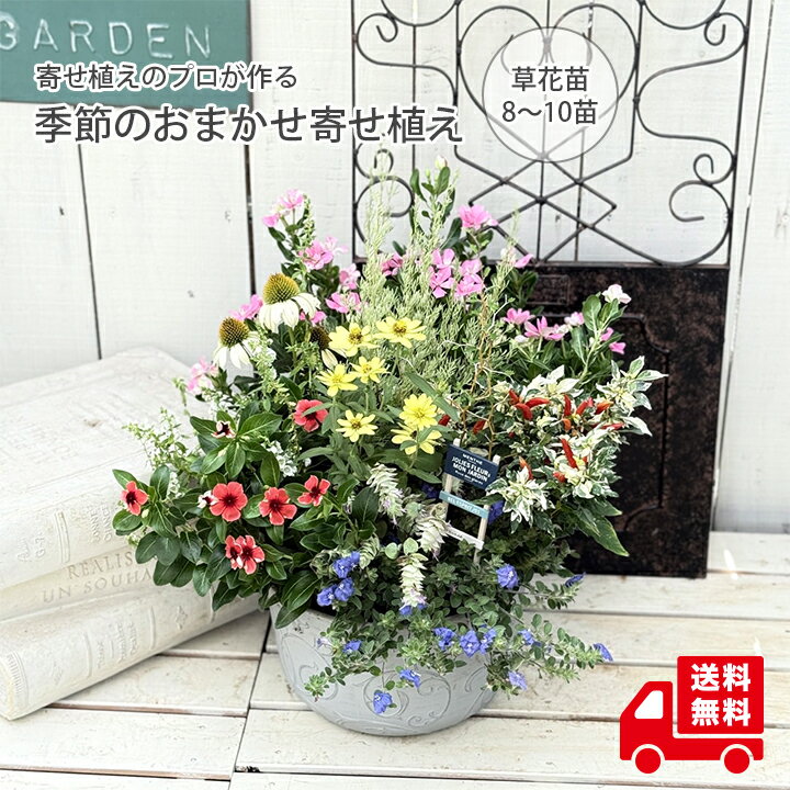 2025年 おばあちゃん・祖母が喜ぶ誕生日プレゼント特集南部せんべい乃巖手屋公式通販