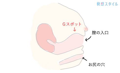 立ちバックの気持ちいいやり方を解説！身長差で難しいときのコツも｜風じゃマガジン