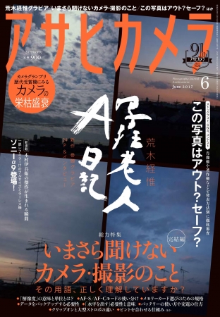 心電図で見る心房細動(AF)と心房粗動(AFL)の違い | 看護師学習ノート