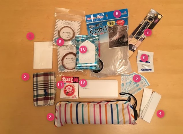 保存版 ディズニーへ行く時に便利な季節ごとの持ち物リスト社会人恋活サークルISTコミュニティ