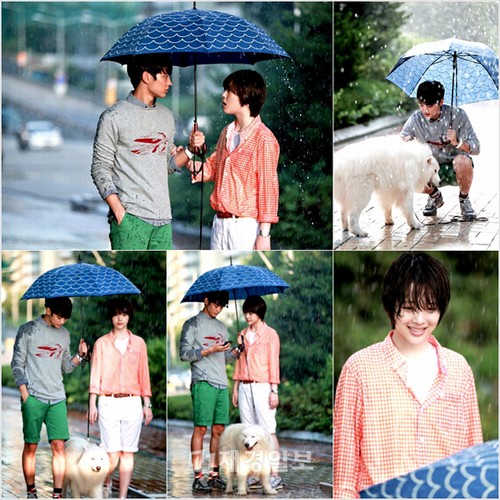 雨 相合傘 カップル デートの写真素材 - PIXTA