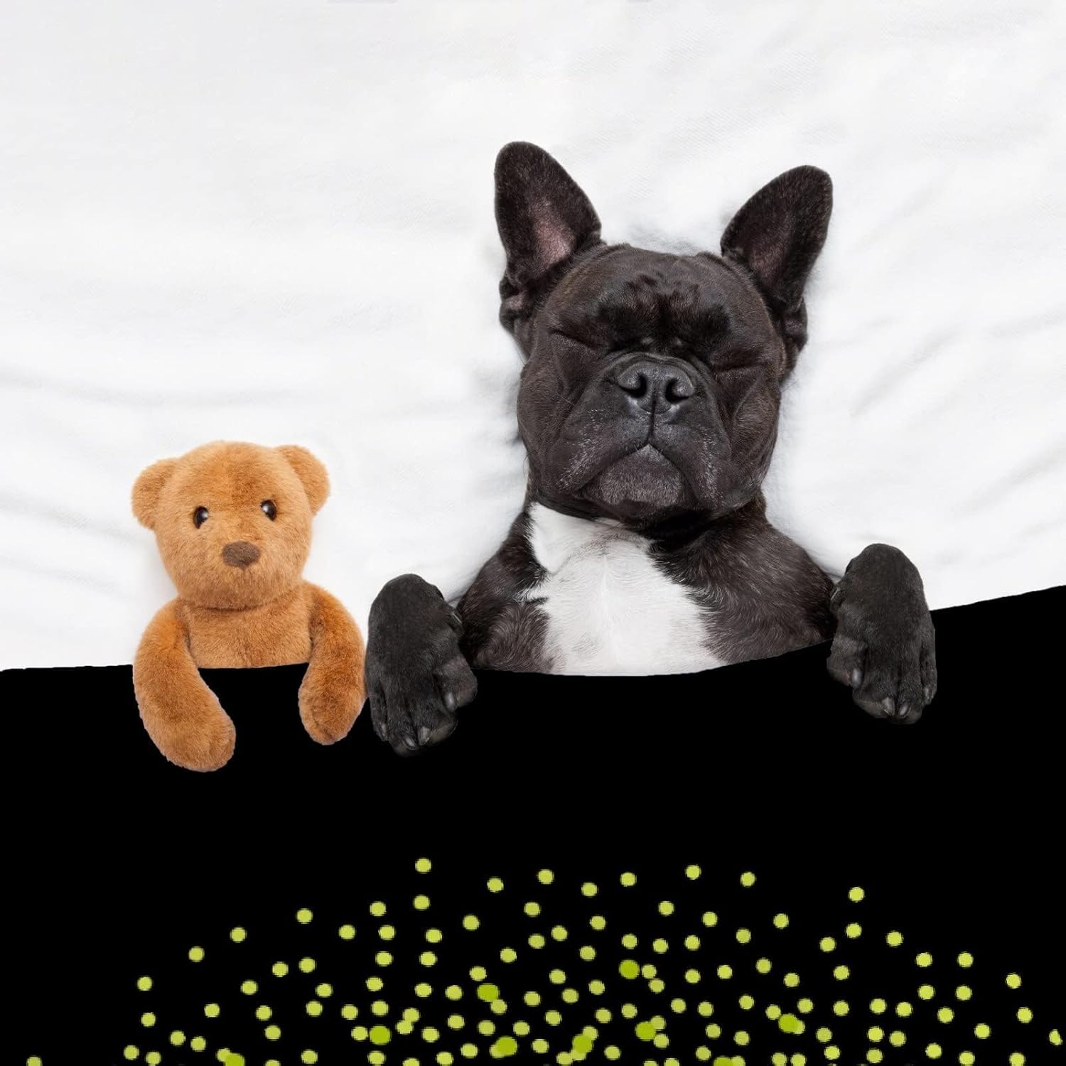 男の子赤ちゃん 名付けランキング 3位「葵」2位「陽翔」 “夏にまつわる名前”1位は？ “海”にまつわる漢字も人気ポイント交換のPeX