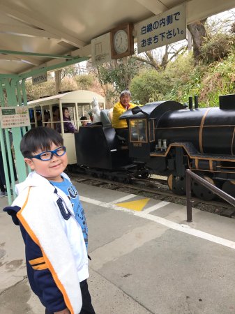 小田原城址公園・こども遊園地子連れママのための子育て情報サイト - mamasky ママスキー