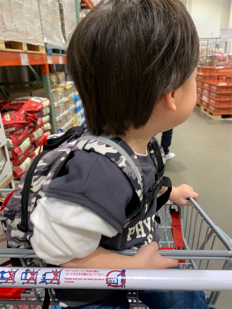 コストコ🛒カートデビュ🛒✨ ちょっと大きいけど座れるかな？と試したら少しグラつくけど、固定ベルトでしっかり留めたらgood🥴👍✨買い物中は終始無言でキョロキョロ🙄 お会計はひとりでお利口に並んでる🛒🛒🛒コストココストコベビー連れ生後8ヶ月生後8ヶ月