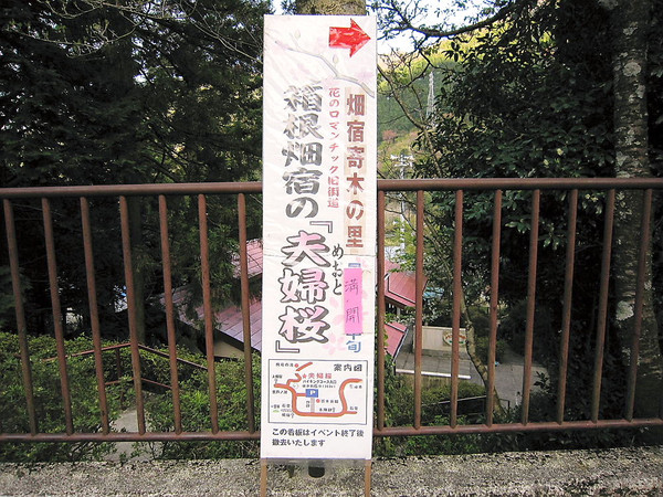 徳良湖の夫婦桜は、二人の愛を誓う場所です。二人の幸せの鍵をかけて下さい。尾花沢 - 泉デザイン工房