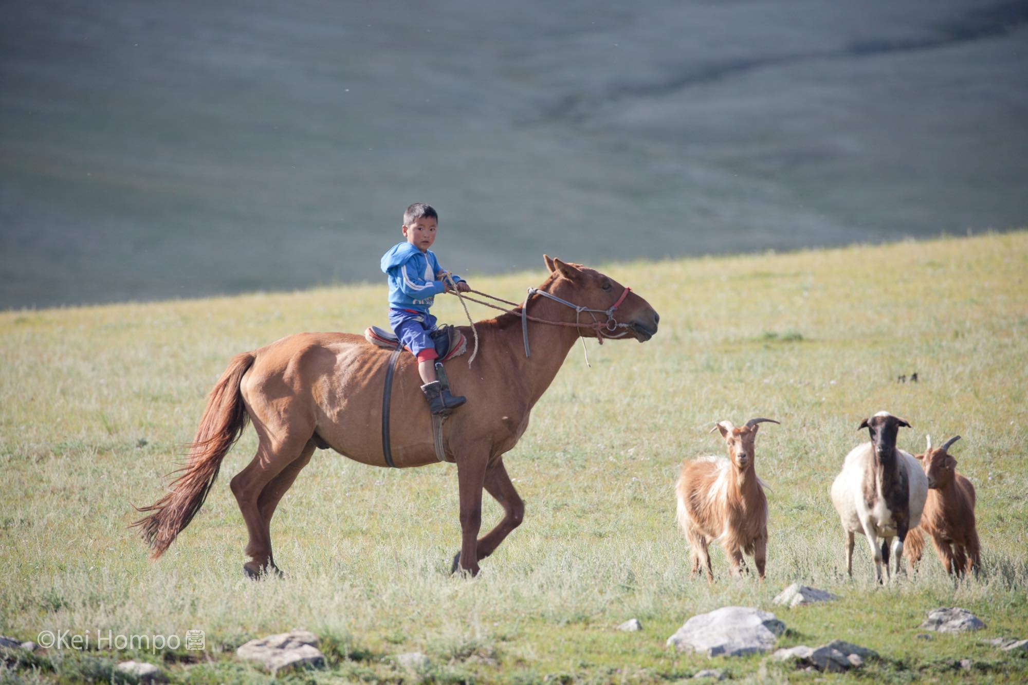 たった数年でここまで変わった、モンゴルの遊牧民の子どもたちの比較写真10枚 - DNA