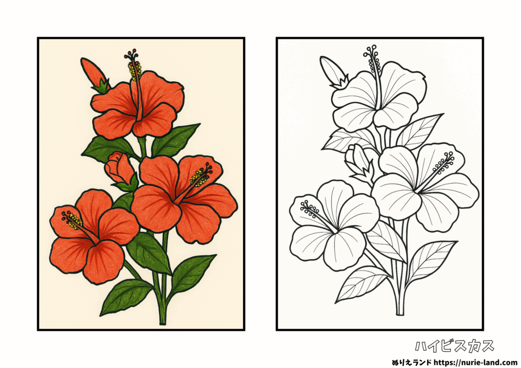 ぬりえ 花と蝶無料イラスト素材素材ラボ