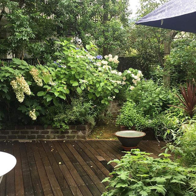 碑文谷の「harumi's」、栗原はるみさんの雑貨＆レストラン : 美味探訪