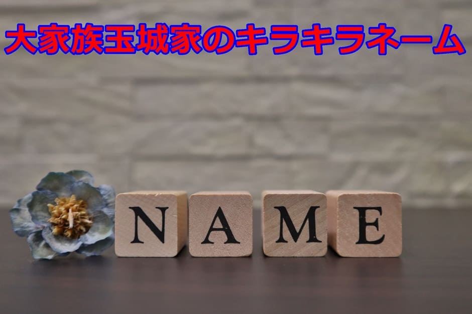 毎年お誕生日をお祝いしてくれる優しい @ayaka_ang_okinawa さん😭💕美味しいランチをご馳走になった上にケーキとプレゼントまでありがとうございました🥹 @_______ang の新作ピアス💫小ぶりだけどキラッキラで程よくアクセントになってくれて可愛い🫶🏼 レベル31も