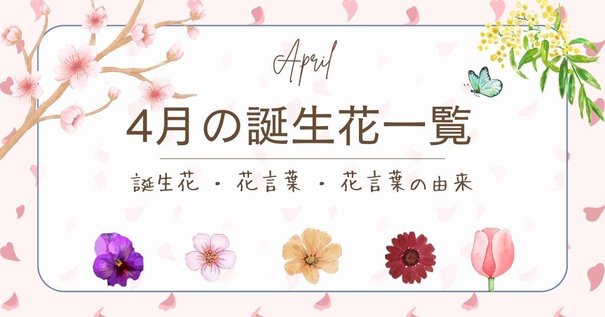 4月11日の誕生花は？ヤグルマギクの花言葉・由来を紹介お花のギフト通販 ブルーミーストア