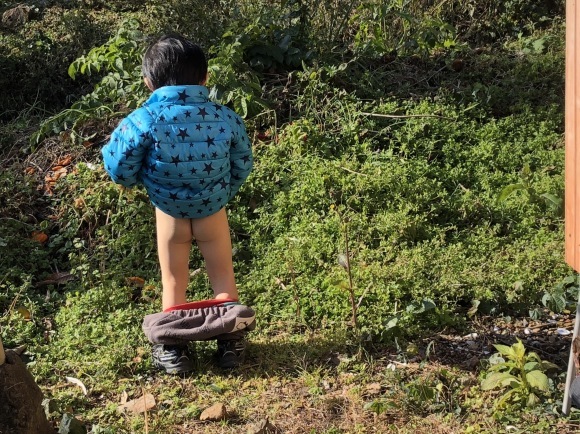 立ち小便をする日本人の男の子9921063 の写真素材 - アフロ