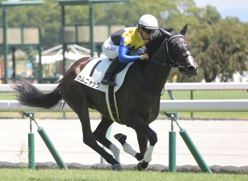 全日本2歳優駿2024結果情報】牝馬ミリアッドラヴが勝利 2歳ダート女王が誕生・西村淳也騎手は地方Jpn1初制覇など最新情報 | 競馬まとめ