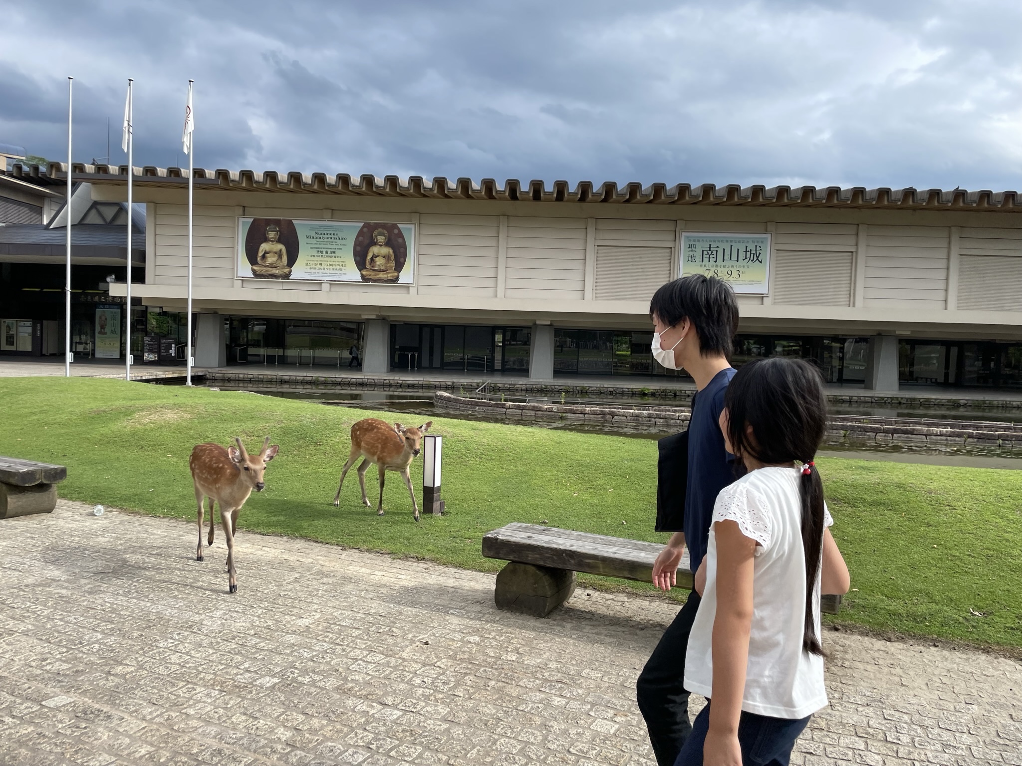 当時物・希少本 「えり子と白い花の森」堀内純子 鈴木まもる 小峰書店 新しいこどもの文学 レトロ絵本1996年Yahoo!フリマ 旧PayPayフリマ