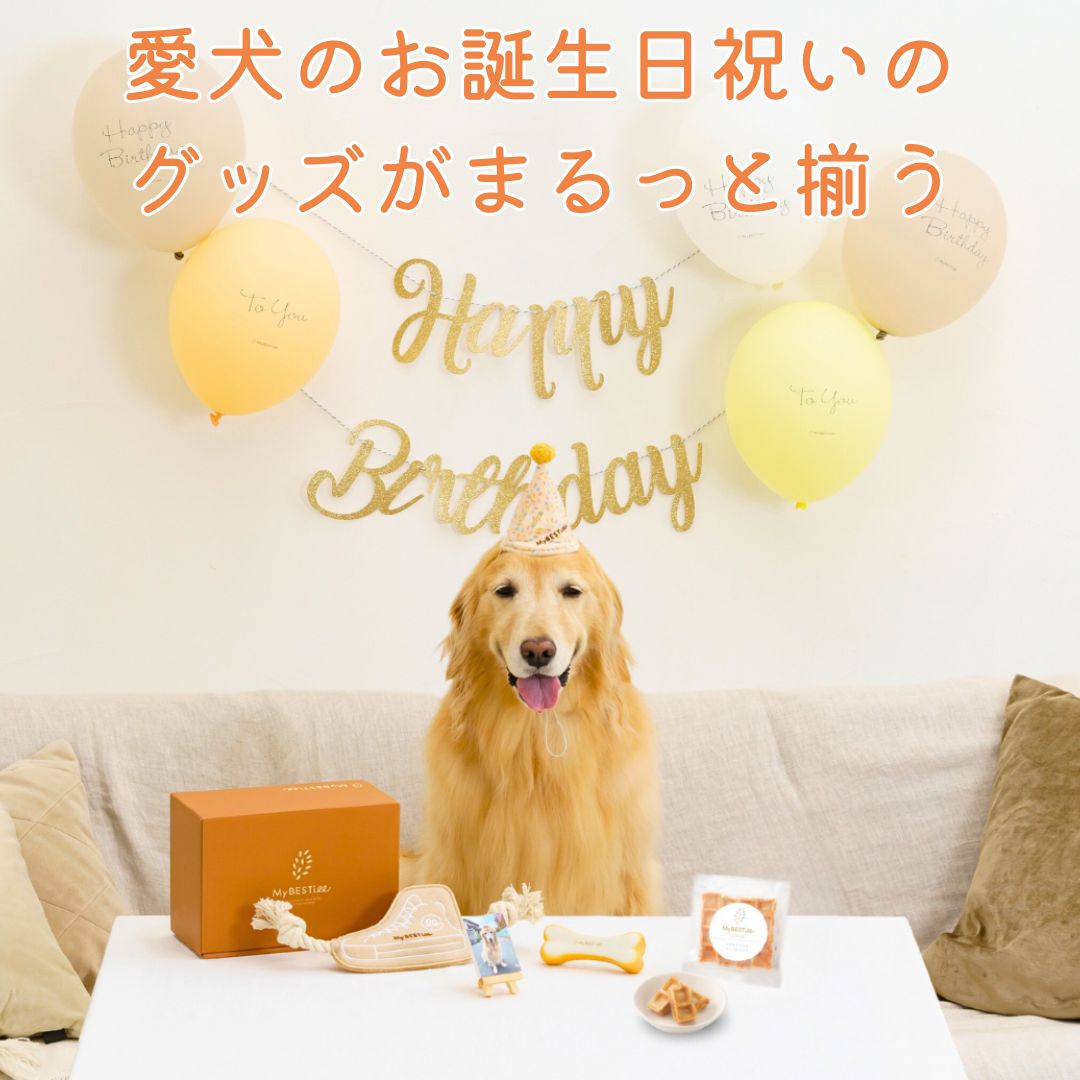 オーダーメイド 愛犬 お名前ポエムF3 誕生日 プレゼント ギフト うちの子 愛犬グッズ 犬 猫 おもちゃ・ペット小物 おもいでや 通販18211290Creema クリーマ