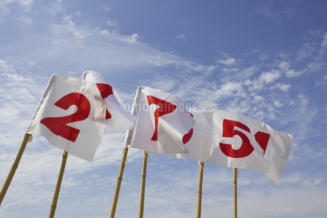 名入れ応援旗 全国制覇赤個人名前・学校名・部活名・チーム名3