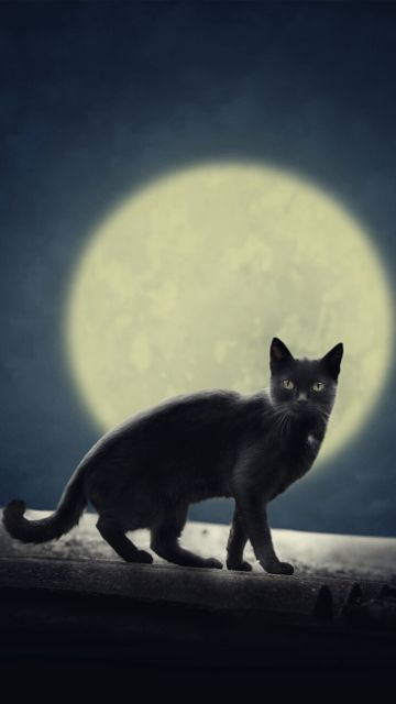 恋愛成就の待ち受け強力最強画像 口コミ多数の超強力注意本気で愛される待ち受け画像2025年最新版