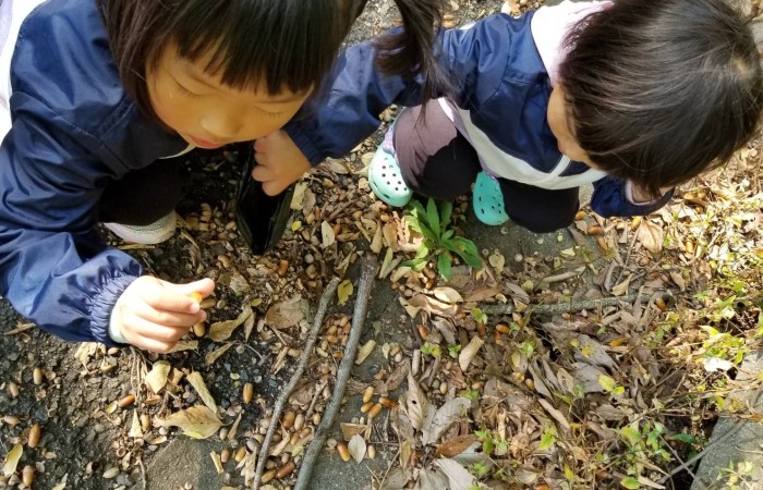 0~5歳まで年齢別に解説！子どもが家で楽しめる家遊び30選とプリゼロスタッフおすすめをご紹介 -プリゼロ プリントのストレスをゼロに。親子のまいにちを、笑顔に。プリント管理アプリ「プリゼロ」 大阪ガス