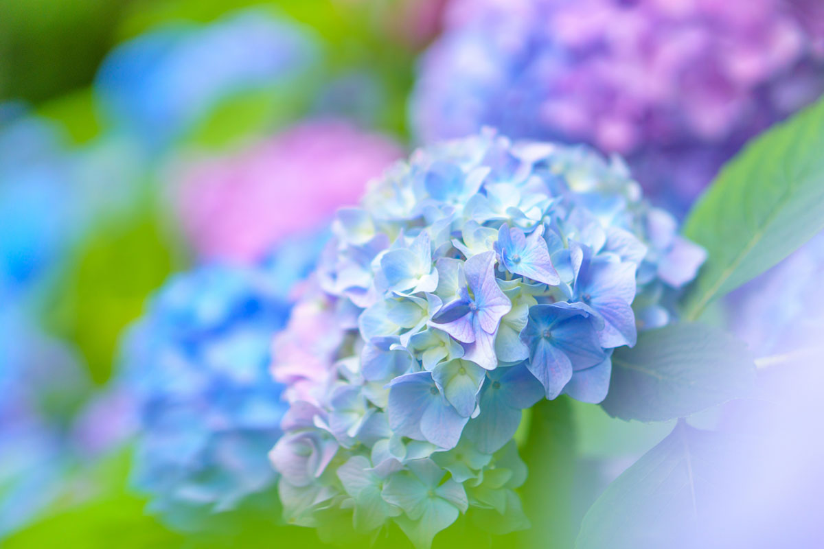 漢字一文字の男の子のかっこいい名前86選！ 人気の名前を大特集！はいチーズ！クリップ