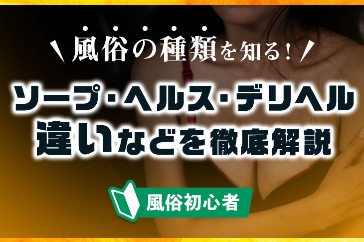 デリヘル開業・経営支援 | 風俗の広告比較.com