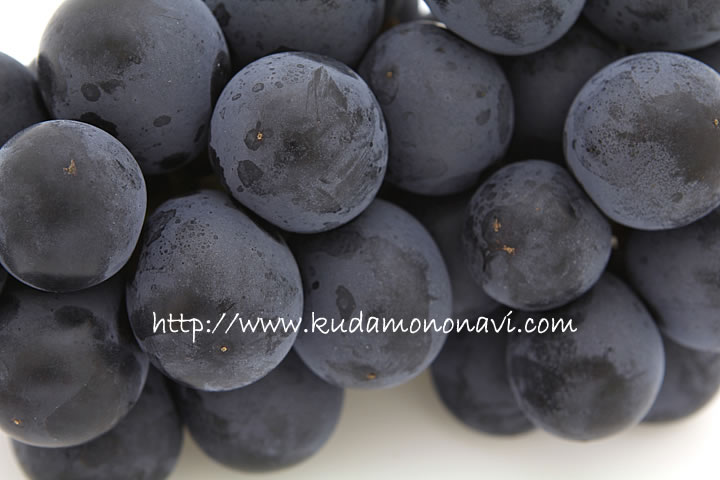 ブドウ「藤稔 ふじみのり 」誕生の歴史 - 藤稔発祥の青木果樹園