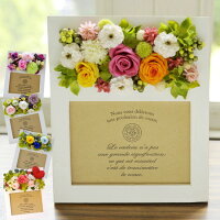 DIYで作るモール製ケシの花の作り方 手作りプレゼント「モールで作る花束」、母の日、敬老の日 卒園式に先生へ送る 可愛いハンドメイド